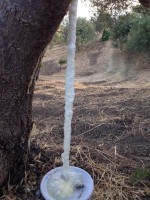 /album/lamannadalcielo/a1656234-583338655090512-608576263-n-2-jpg/