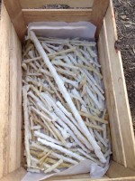 /album/lamannadalcielo/a1095028-583801051710939-367382452-n-jpg/