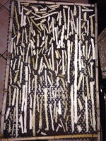 /album/lamannadalcielo/a1796657-583799178377793-1510883230-n-jpg/